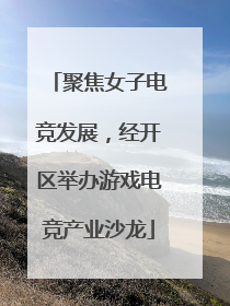 聚焦女子电竞发展，经开区举办游戏电竞产业沙龙