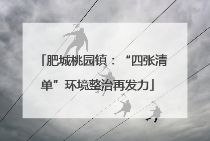 肥城桃园镇：“四张清单”环境整治再发力