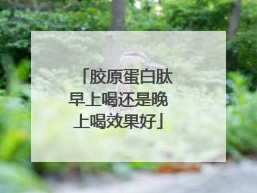 胶原蛋白肽早上喝还是晚上喝效果好