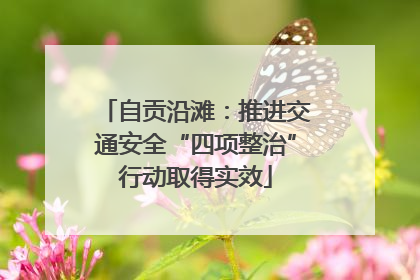 自贡沿滩：推进交通安全“四项整治”行动取得实效