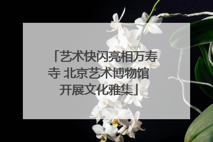 艺术快闪亮相万寿寺 北京艺术博物馆开展文化雅集