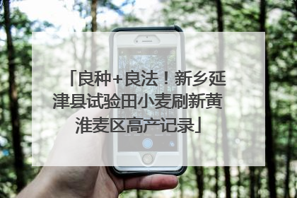 良种+良法！新乡延津县试验田小麦刷新黄淮麦区高产记录