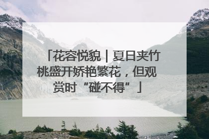 花容悦貌｜夏日夹竹桃盛开娇艳繁花，但观赏时“碰不得”