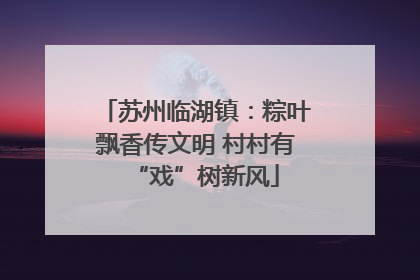 苏州临湖镇：粽叶飘香传文明 村村有“戏”树新风