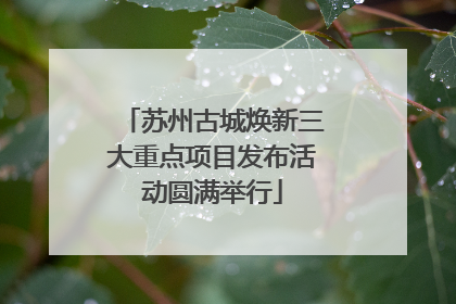 苏州古城焕新三大重点项目发布活动圆满举行