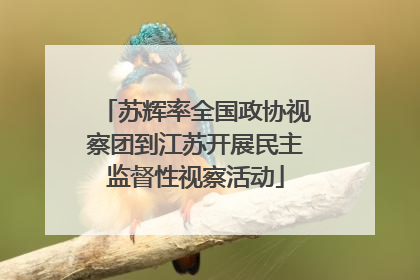 苏辉率全国政协视察团到江苏开展民主监督性视察活动