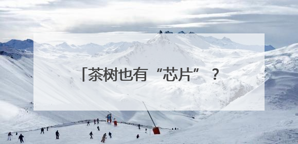 茶树也有“芯片”？守护者是他们……