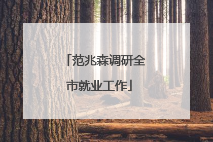 范兆森调研全市就业工作