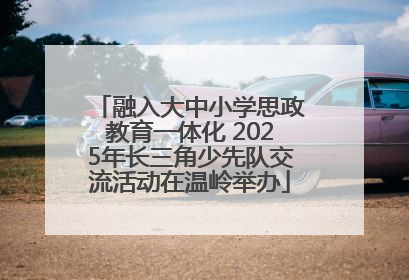 融入大中小学思政教育一体化 2025年长三角少先队交流活动在温岭举办