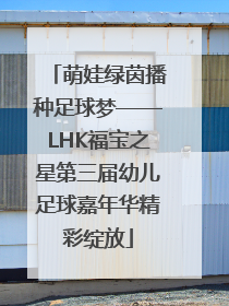 萌娃绿茵播种足球梦——LHK福宝之星第三届幼儿足球嘉年华精彩绽放