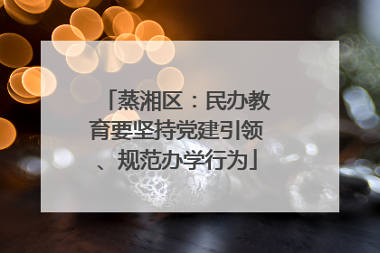 蒸湘区：民办教育要坚持党建引领、规范办学行为