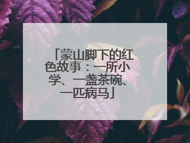 蒙山脚下的红色故事：一所小学、一盏茶碗、一匹病马