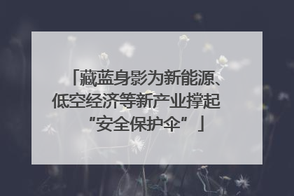 藏蓝身影为新能源、低空经济等新产业撑起“安全保护伞”