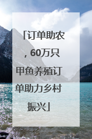 订单助农，60万只甲鱼养殖订单助力乡村振兴