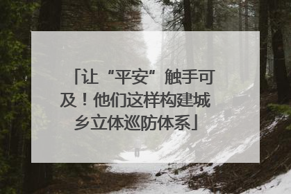 让“平安”触手可及！他们这样构建城乡立体巡防体系