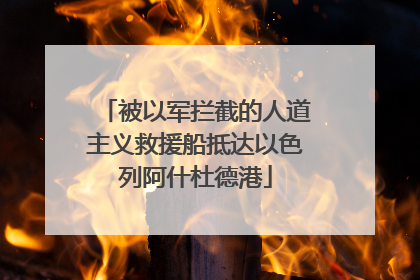 被以军拦截的人道主义救援船抵达以色列阿什杜德港