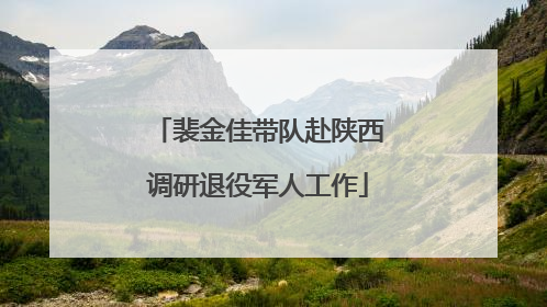 裴金佳带队赴陕西调研退役军人工作