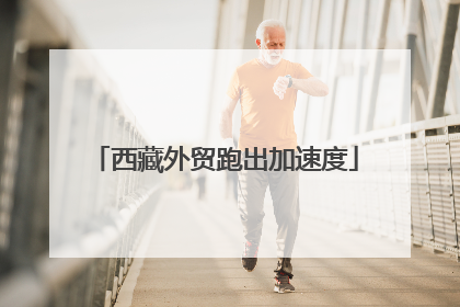 西藏外贸跑出加速度