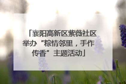 襄阳高新区紫薇社区举办“粽情邻里，手作传香”主题活动