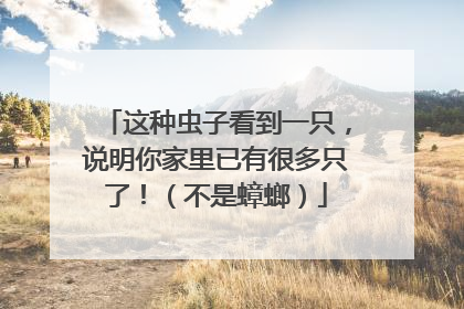 这种虫子看到一只，说明你家里已有很多只了！（不是蟑螂）