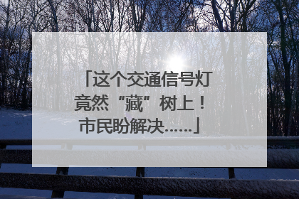 这个交通信号灯竟然“藏”树上！市民盼解决……