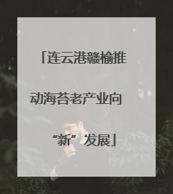 连云港赣榆推动海苔老产业向“新”发展