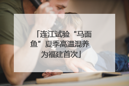 连江试验“马面鱼”夏季高温混养 为福建首次
