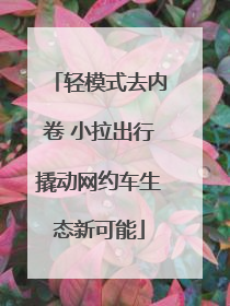 轻模式去内卷 小拉出行撬动网约车生态新可能
