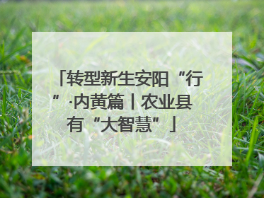 转型新生安阳“行”·内黄篇丨农业县有“大智慧”