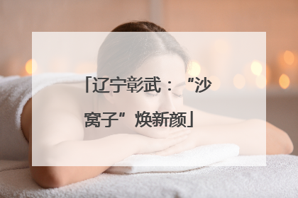 辽宁彰武：“沙窝子”焕新颜