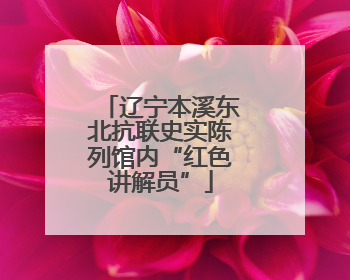辽宁本溪东北抗联史实陈列馆内“红色讲解员”