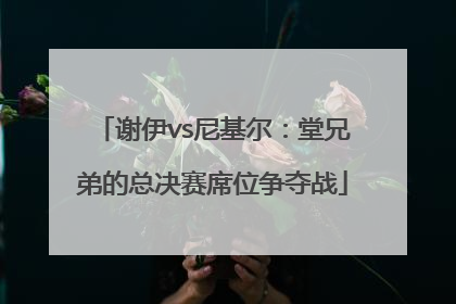 谢伊vs尼基尔：堂兄弟的总决赛席位争夺战