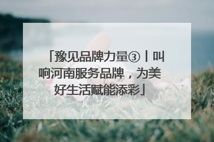 豫见品牌力量③丨叫响河南服务品牌，为美好生活赋能添彩