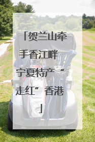 贺兰山牵手香江畔 宁夏特产“走红”香港
