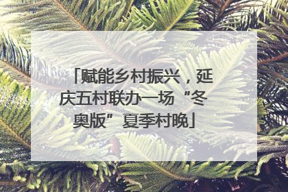 赋能乡村振兴，延庆五村联办一场“冬奥版”夏季村晚