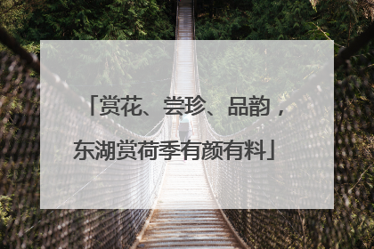 赏花、尝珍、品韵，东湖赏荷季有颜有料