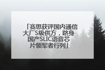 赛思获评国内通信大厂S级供方，跻身国产SLIC语音芯片领军者行列