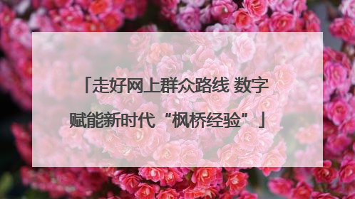 走好网上群众路线 数字赋能新时代“枫桥经验”