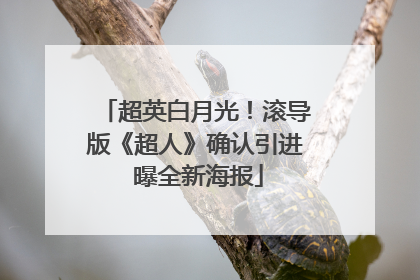 超英白月光！滚导版《超人》确认引进 曝全新海报
