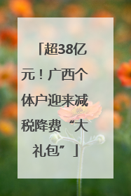 超38亿元！广西个体户迎来减税降费“大礼包”