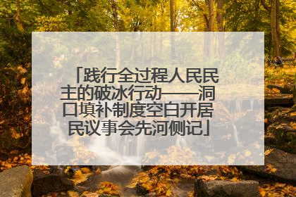 践行全过程人民民主的破冰行动——洞口填补制度空白开居民议事会先河侧记