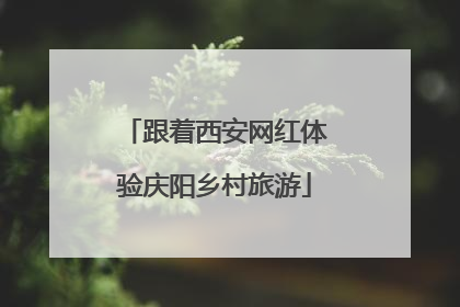 跟着西安网红体验庆阳乡村旅游