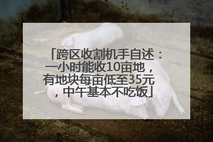 跨区收割机手自述：一小时能收10亩地，有地块每亩低至35元，中午基本不吃饭