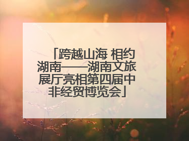 跨越山海 相约湖南——湖南文旅展厅亮相第四届中非经贸博览会
