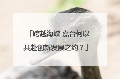 跨越海峡 嘉台何以共赴创新发展之约？