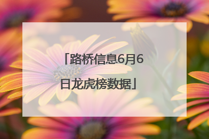 路桥信息6月6日龙虎榜数据