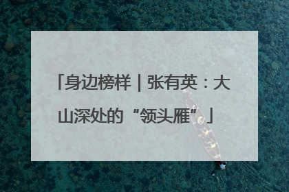 身边榜样｜张有英：大山深处的“领头雁”