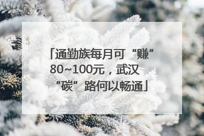 通勤族每月可“赚”80~100元，武汉“碳”路何以畅通