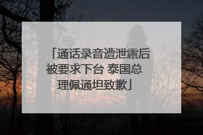 通话录音遭泄露后被要求下台 泰国总理佩通坦致歉