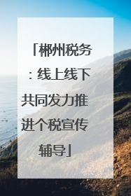 郴州税务：线上线下共同发力推进个税宣传辅导